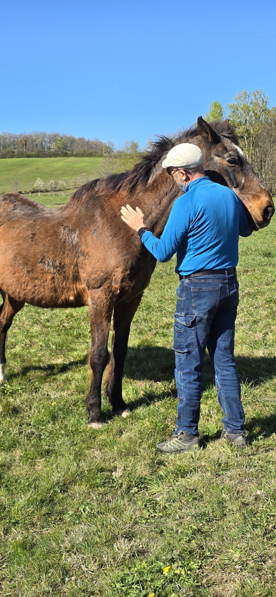 Première séance sur un vieux cheval assez craintif avec les inconnus